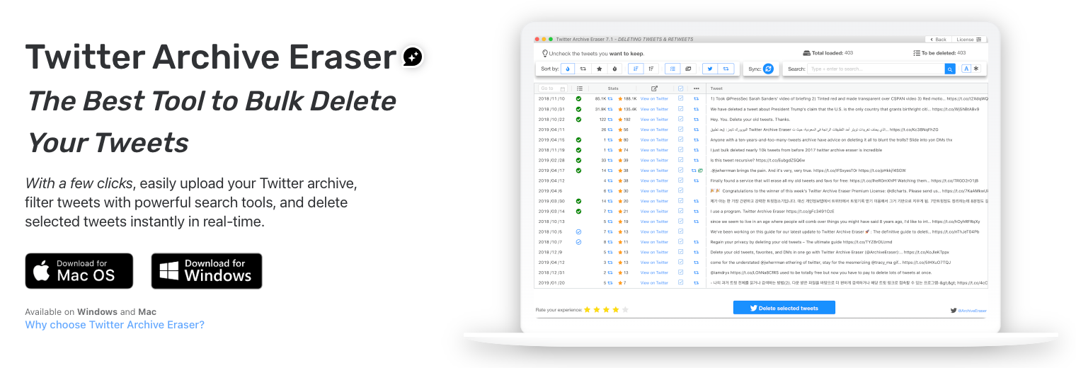Twitter Archive Eraser Screen